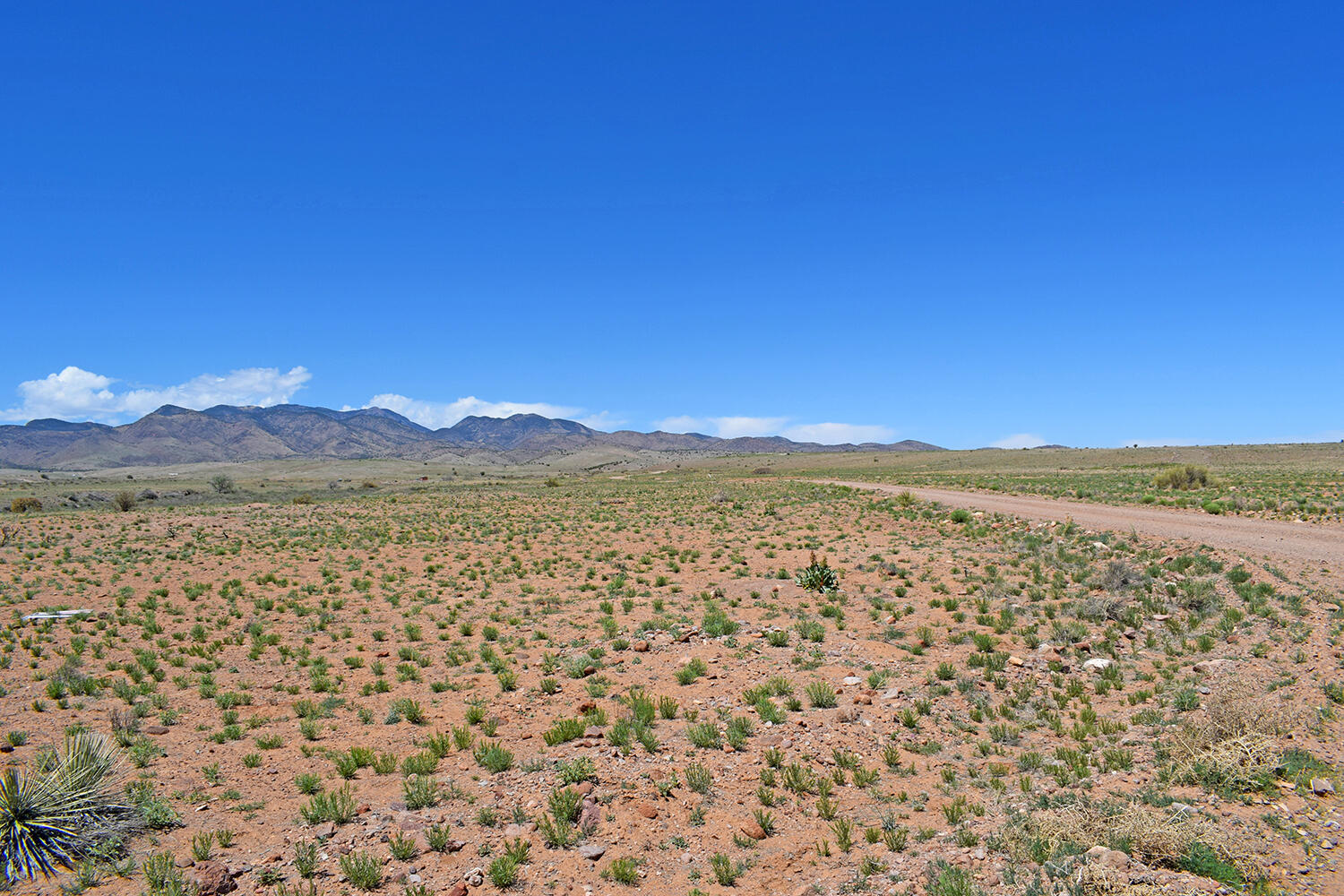Lot 141 Desert Highlands Road
