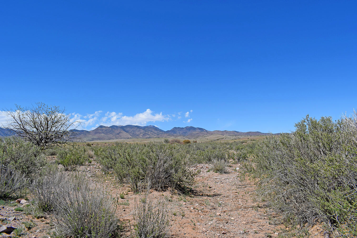 Lot 141 Desert Highlands Road