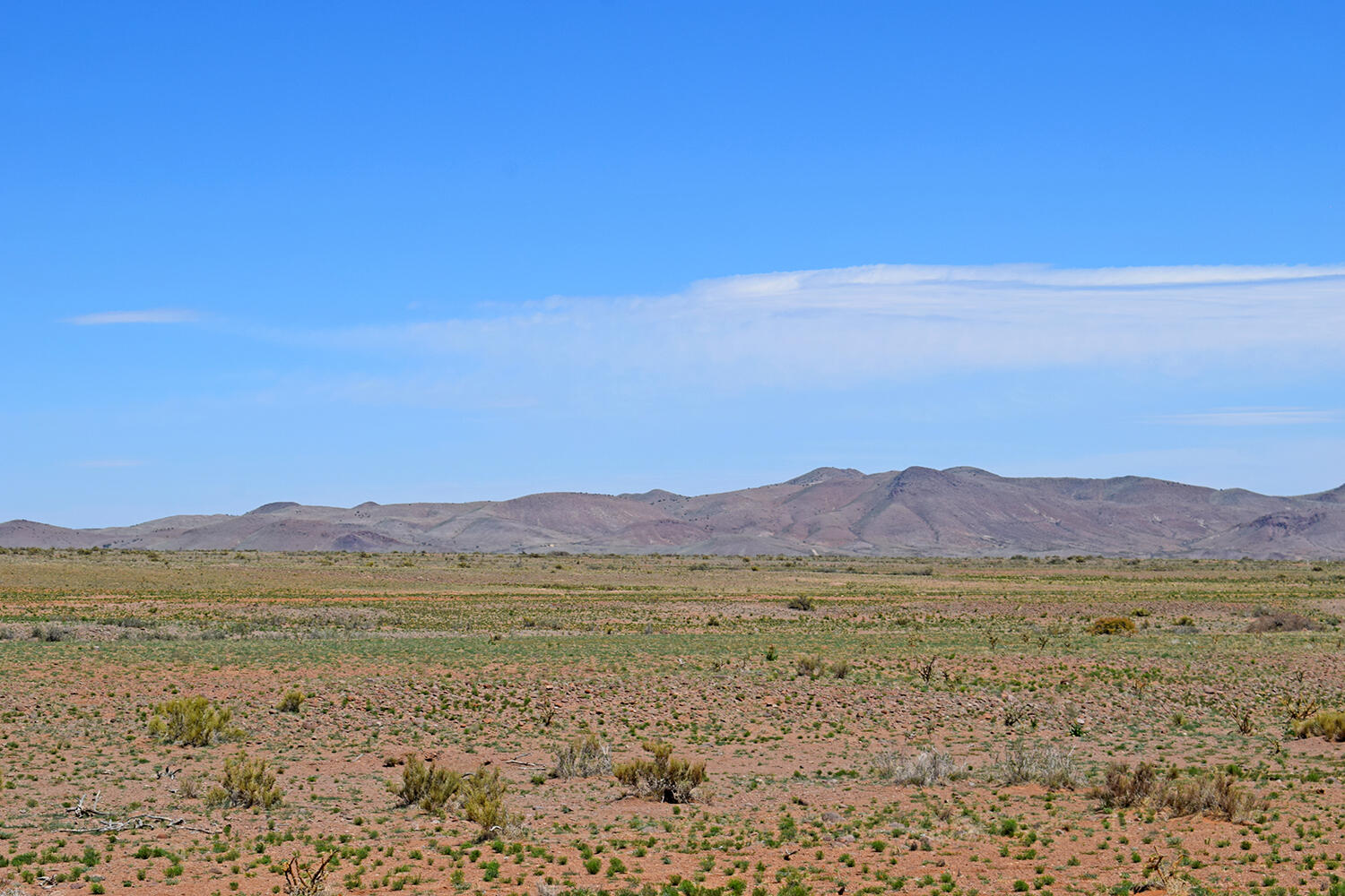 Lot 141 Desert Highlands Road