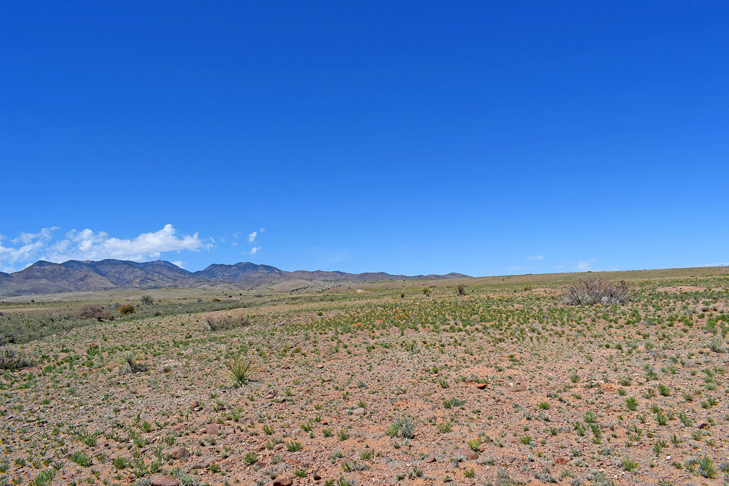 Lot 141 Desert Highlands Road