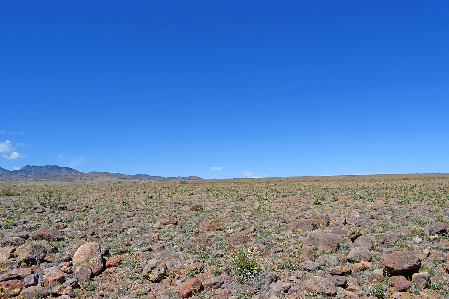 Lot 141 Desert Highlands Road