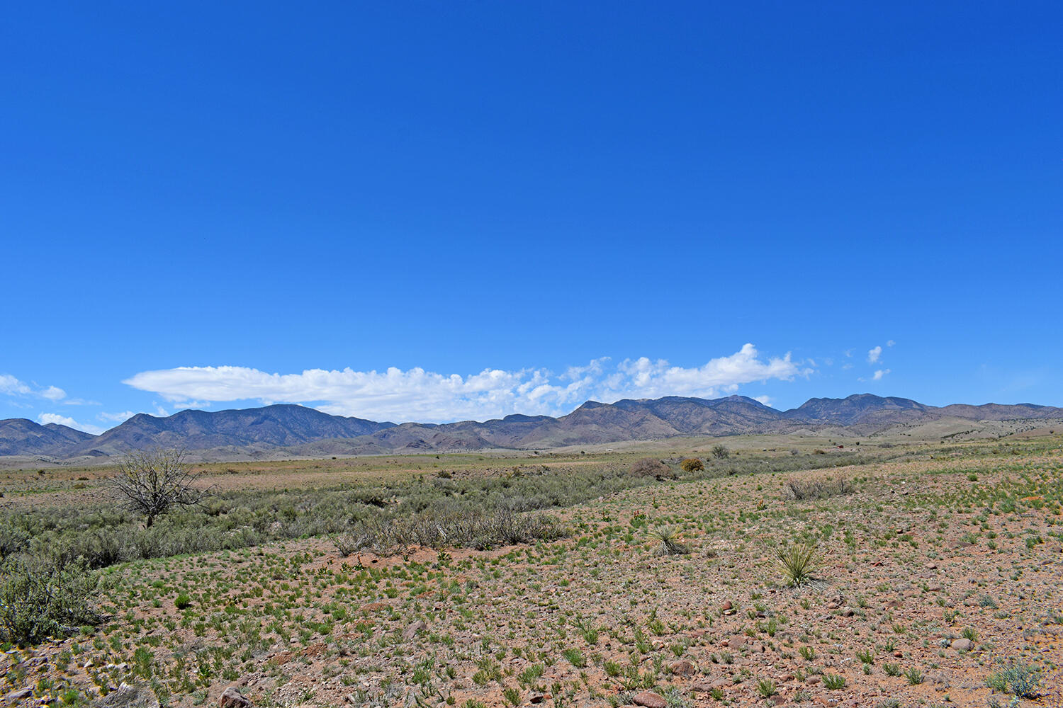 Lot 141 Desert Highlands Road