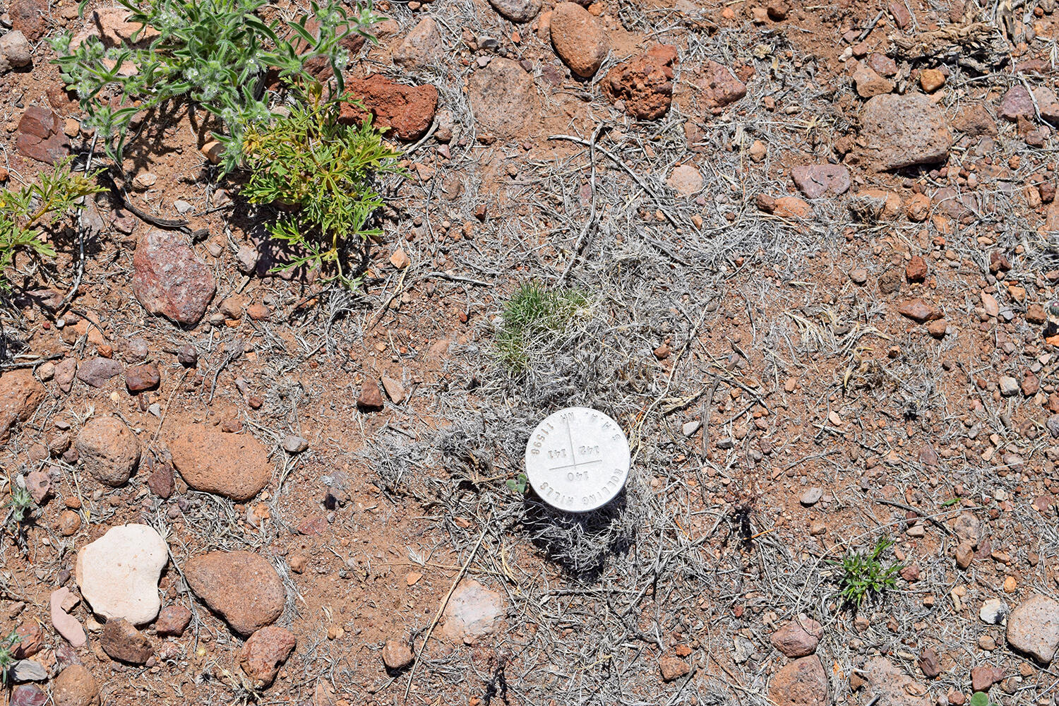 Lot 141 Desert Highlands Road