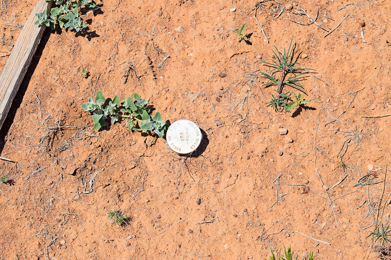 Lot 141 Desert Highlands Road