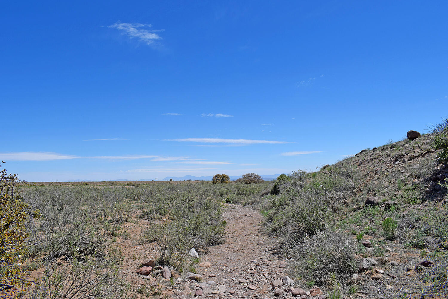Lot 141 Desert Highlands Road