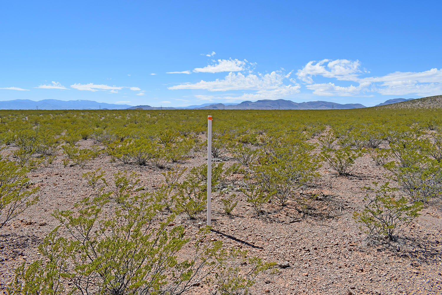 Lot 7 Quail Run Drive
