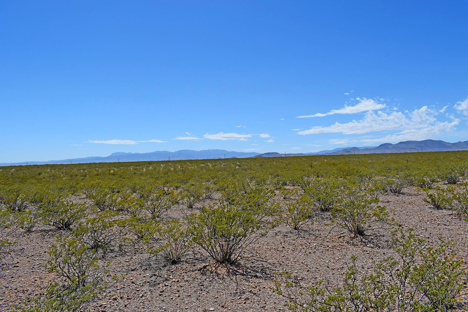Lot 7 Quail Run Drive