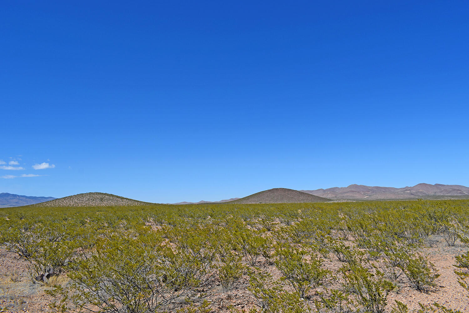 Lot 7 Quail Run Drive