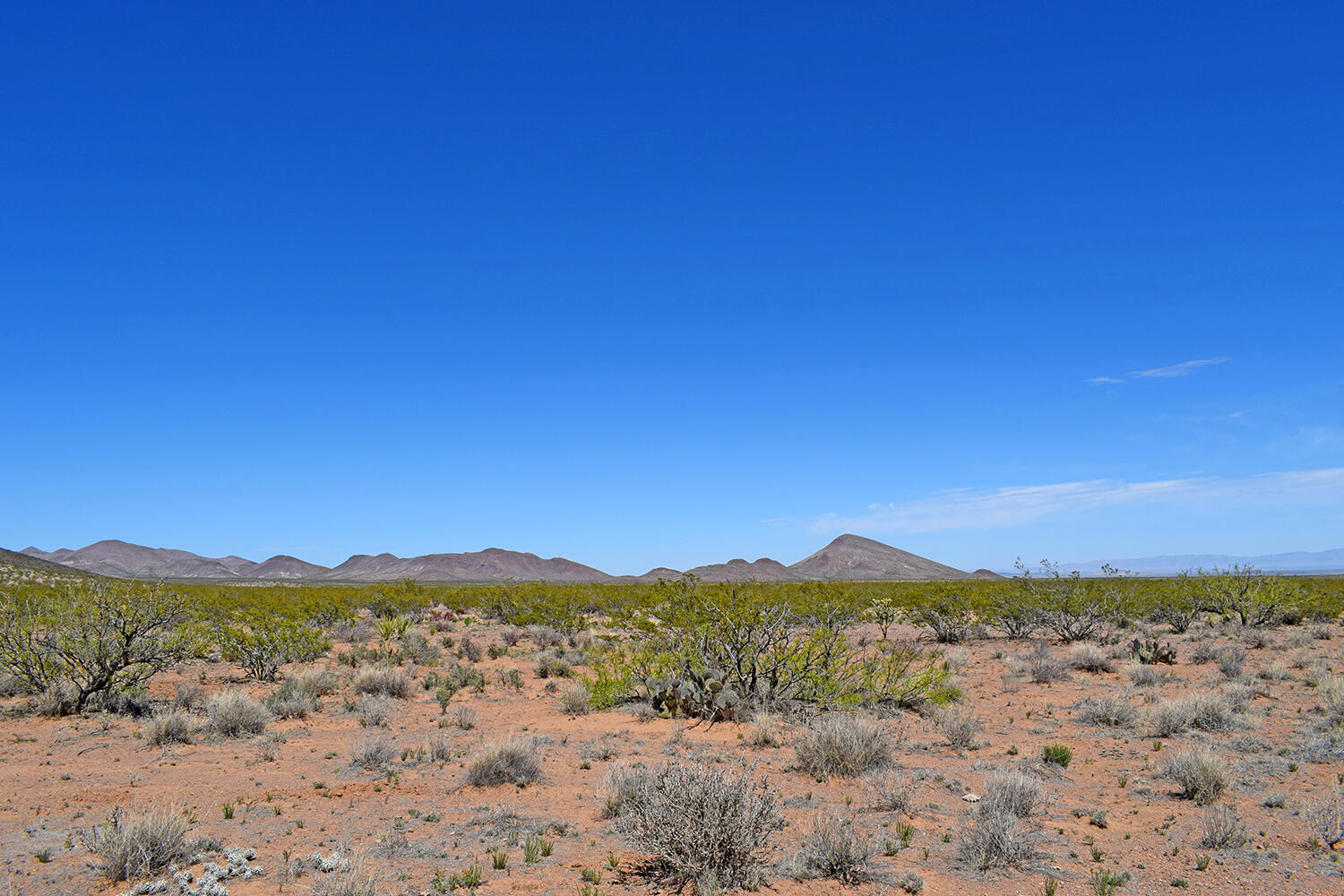 Lot 7 Quail Run Drive