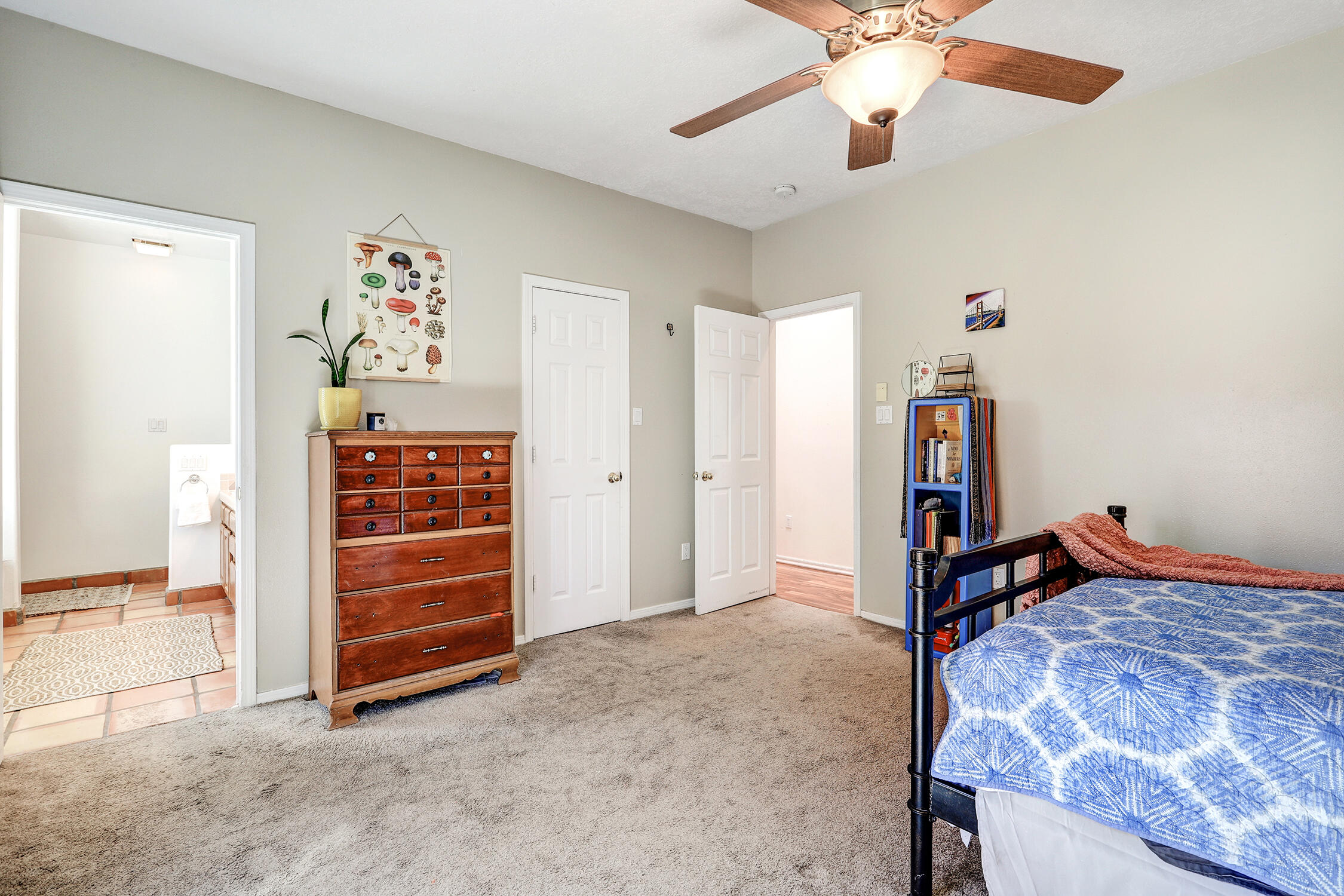 159 Windmill Trail