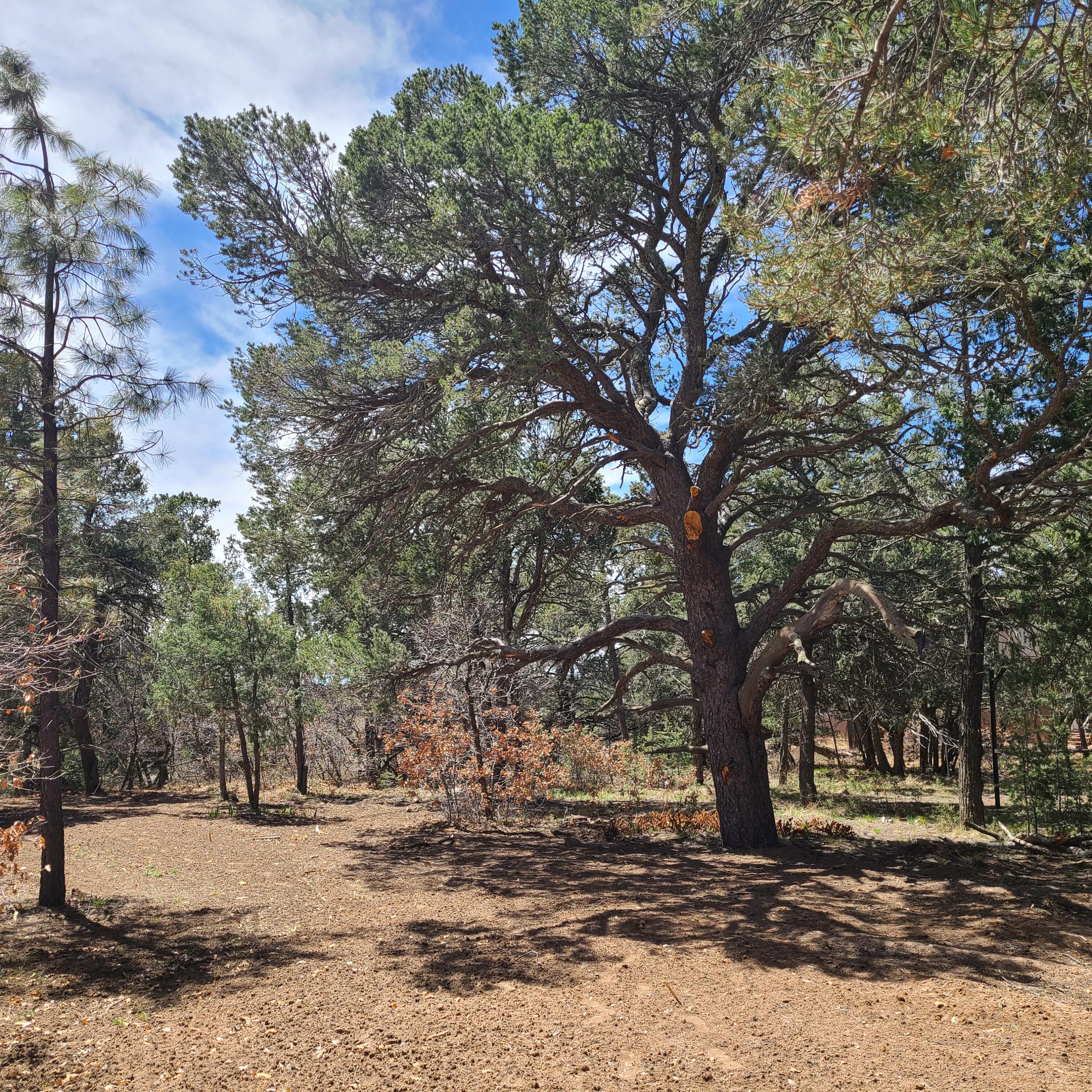 16 Quail Hollow Drive