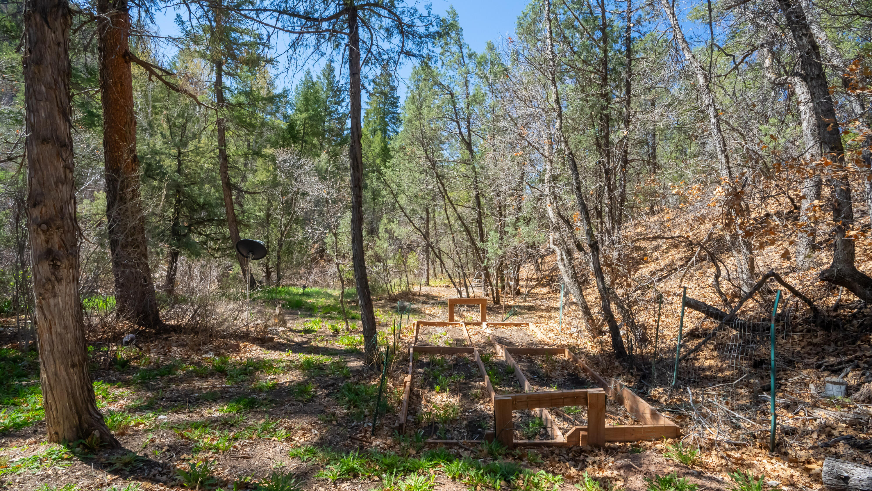 20788 Highway 4