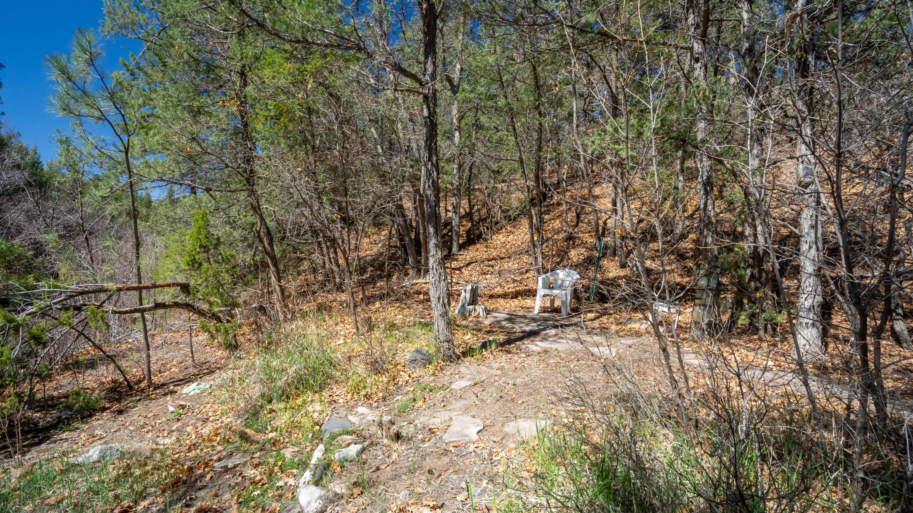 20788 Highway 4