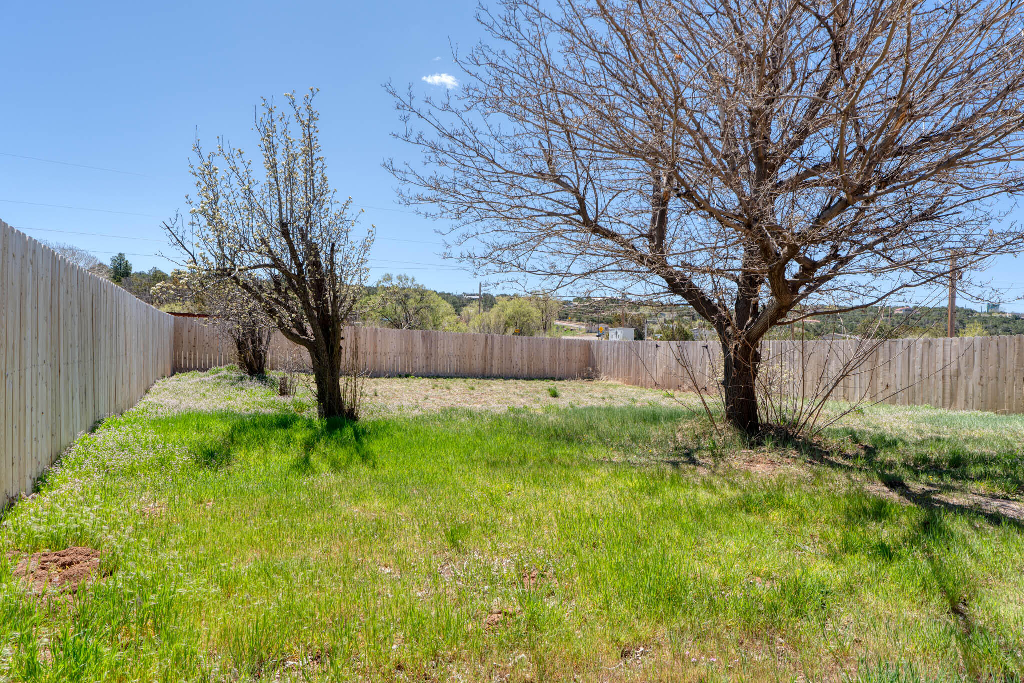 11 Gonzales Road