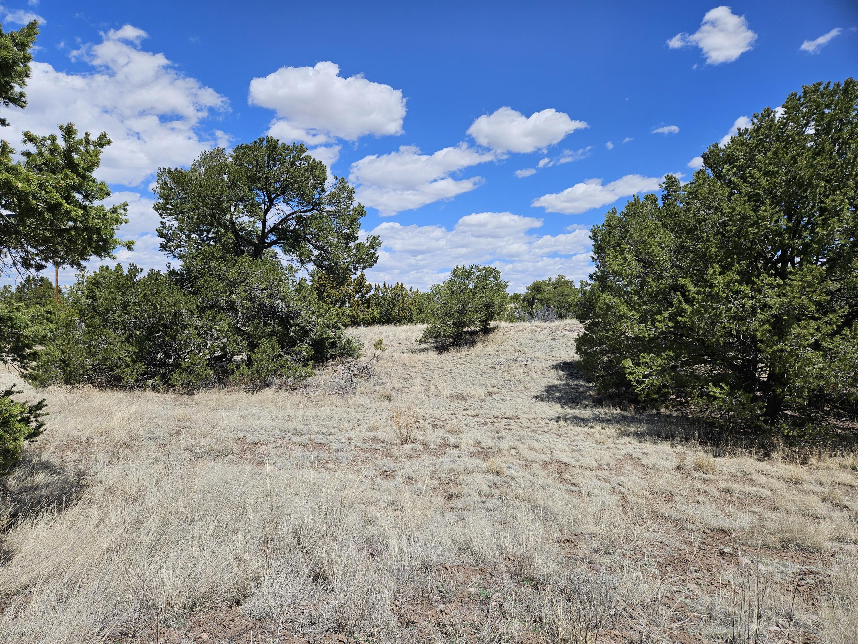 00 Tee Pee Trail