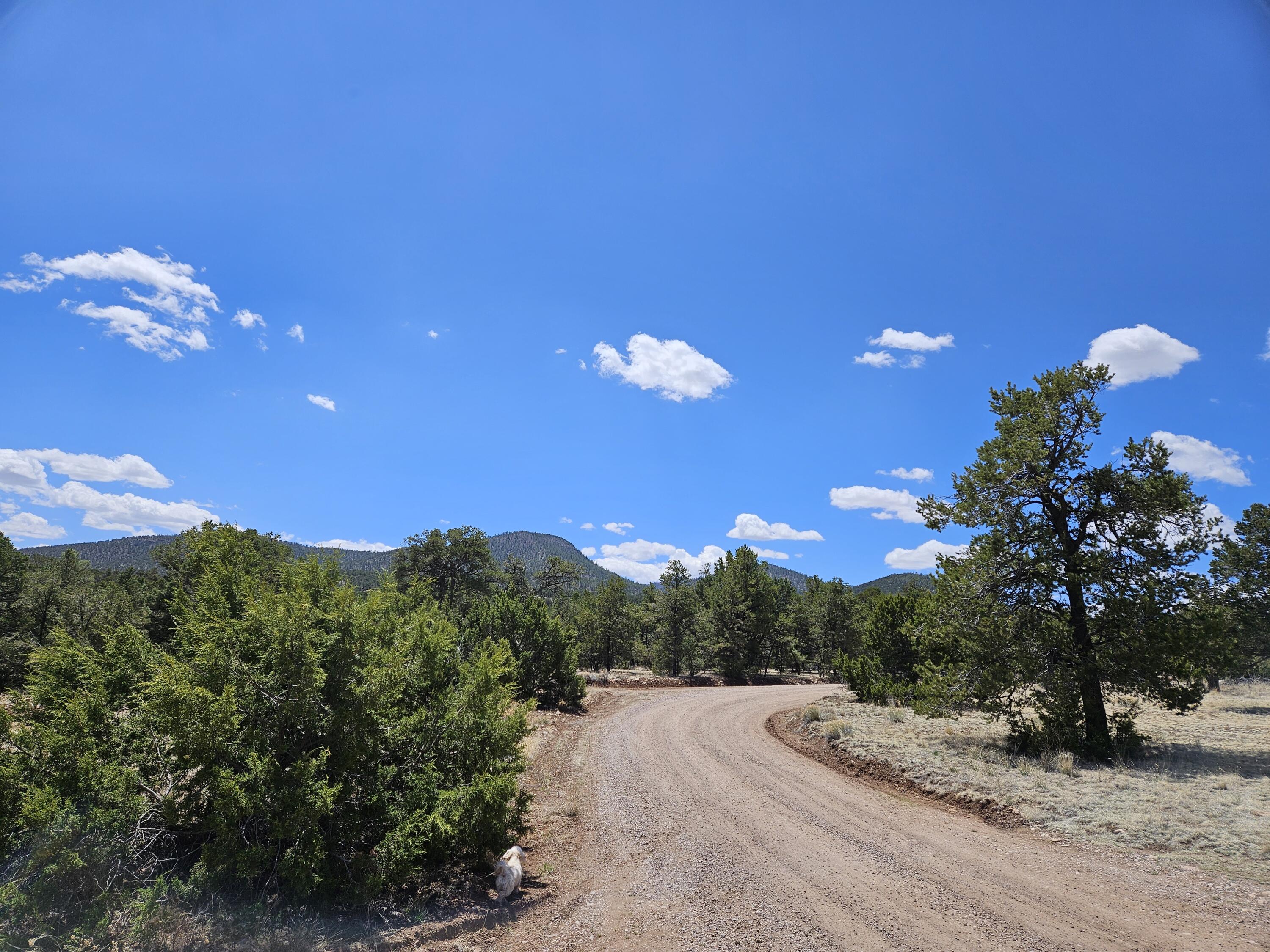 00 Tee Pee Trail