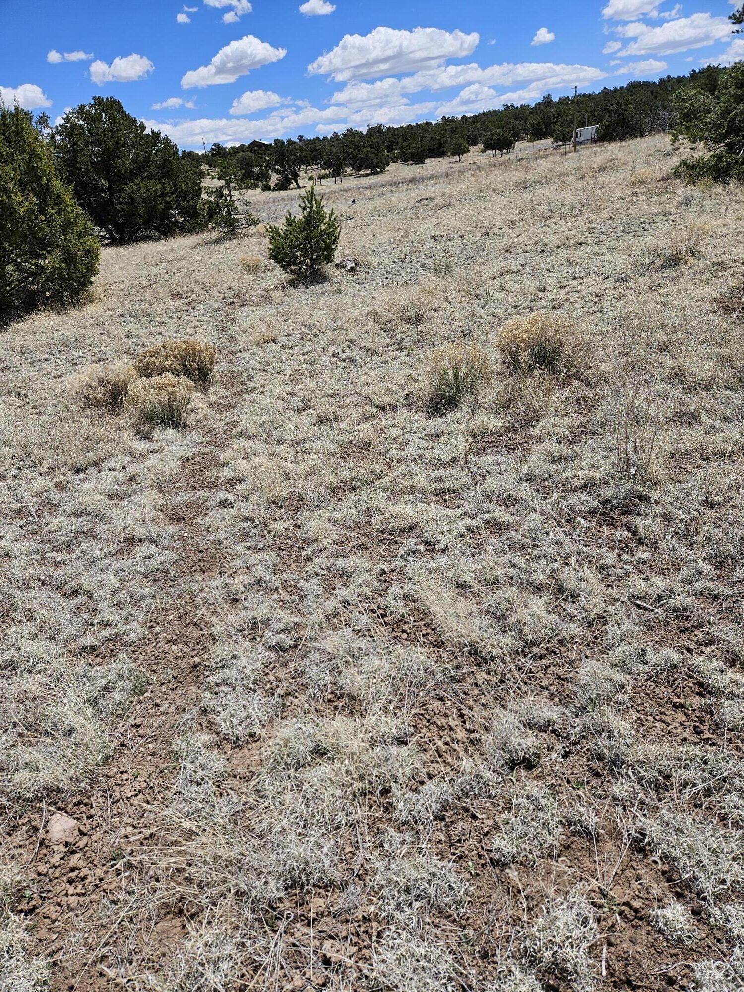 00 Tee Pee Trail