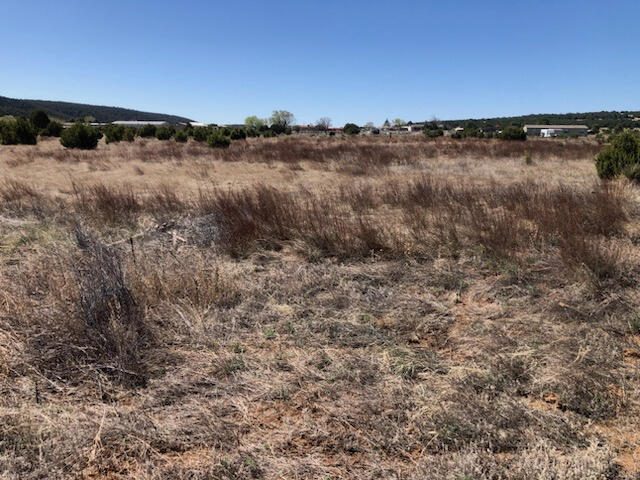 28 Horseshoe Loop Loop