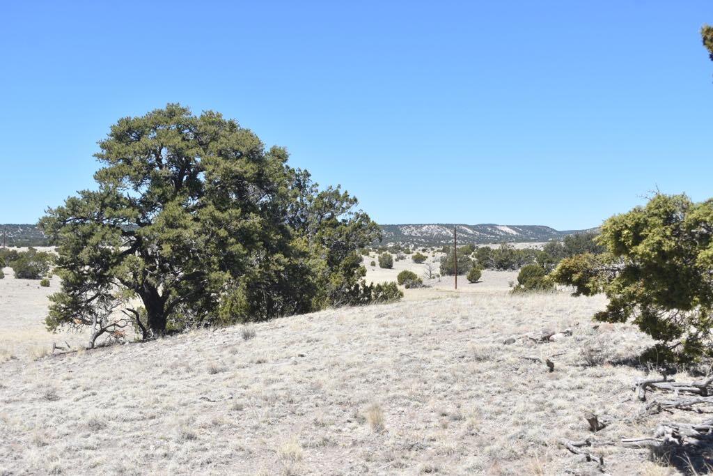 Lot 15 Old Thomas Place Iv