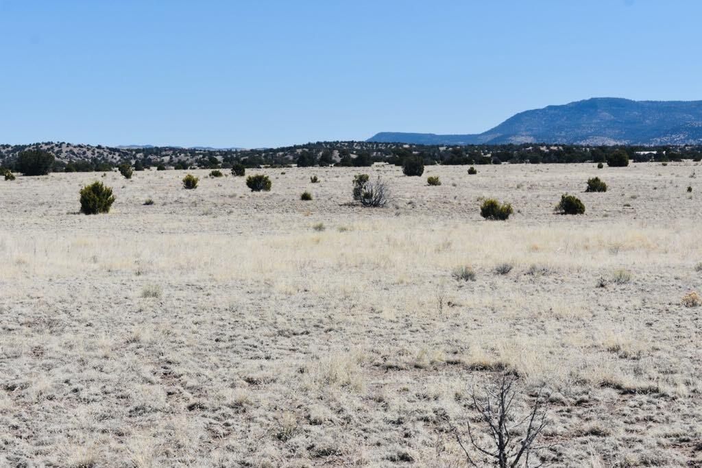Lot 15 Old Thomas Place Iv