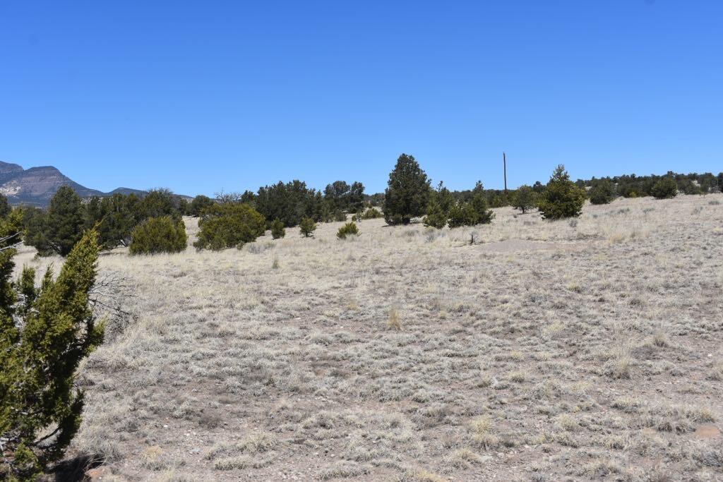 Lot 15 Old Thomas Place Iv