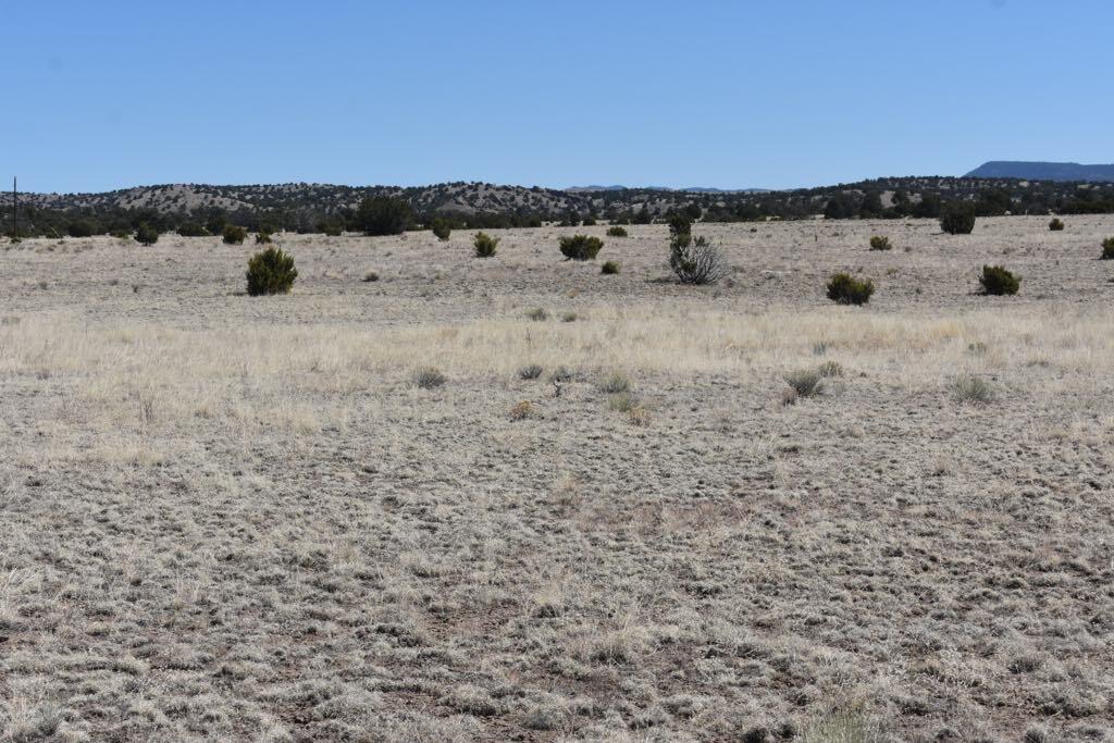 Lot 15 Old Thomas Place Iv