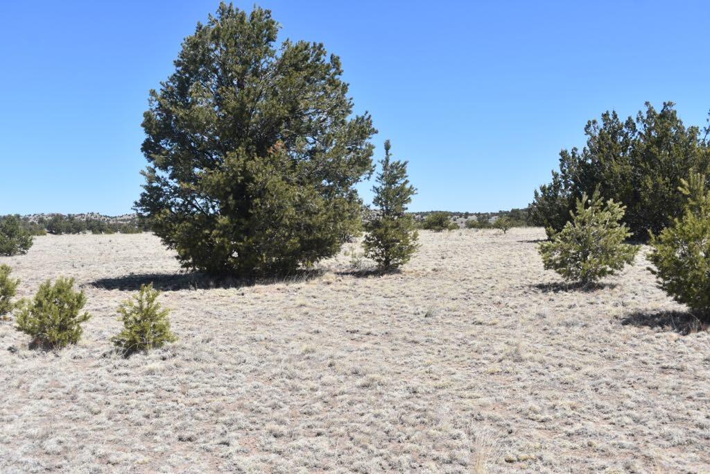 Lot 15 Old Thomas Place Iv
