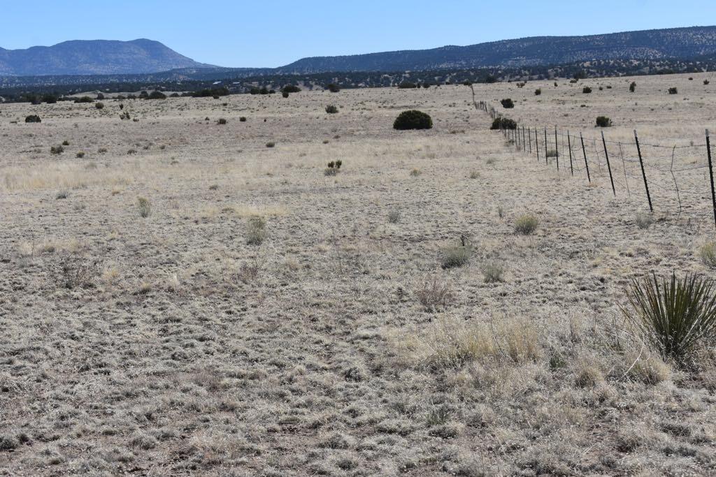 Lot 15 Old Thomas Place Iv