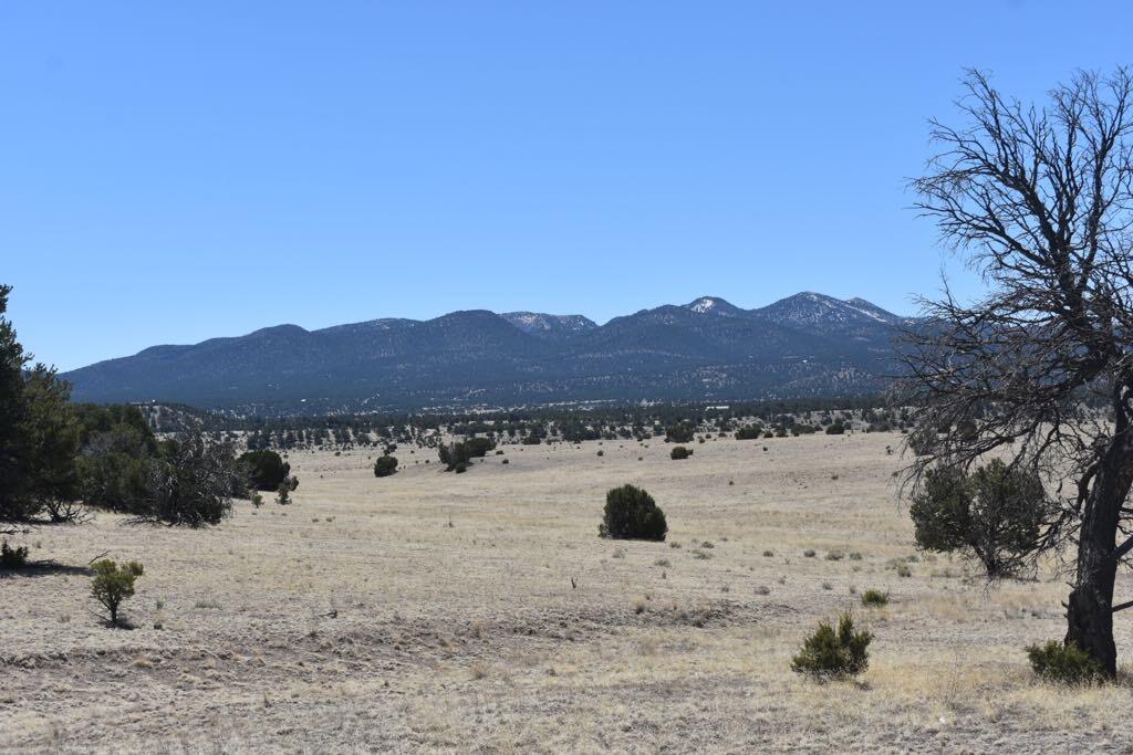 Lot 15 Old Thomas Place Iv