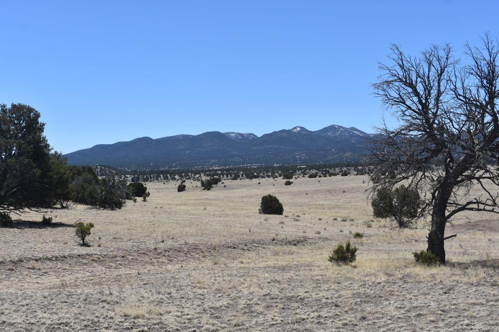 Lot 15 Old Thomas Place Iv