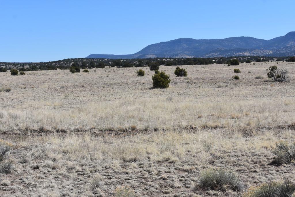 Lot 15 Old Thomas Place Iv