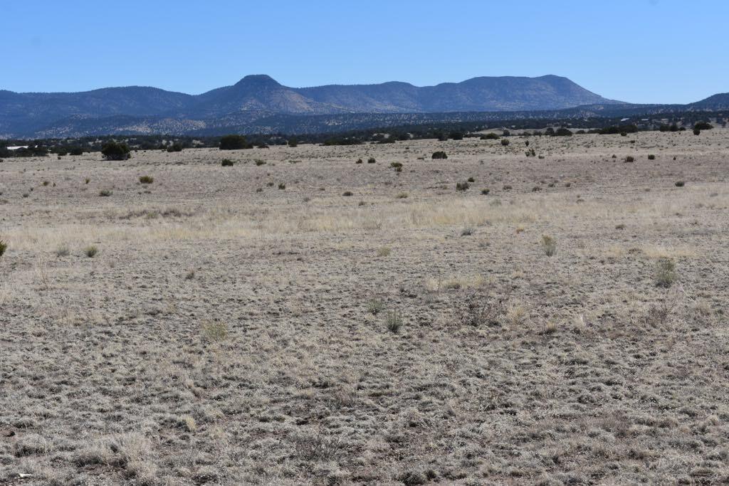 Lot 15 Old Thomas Place Iv