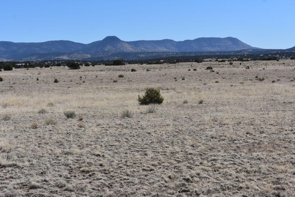 Lot 15 Old Thomas Place Iv