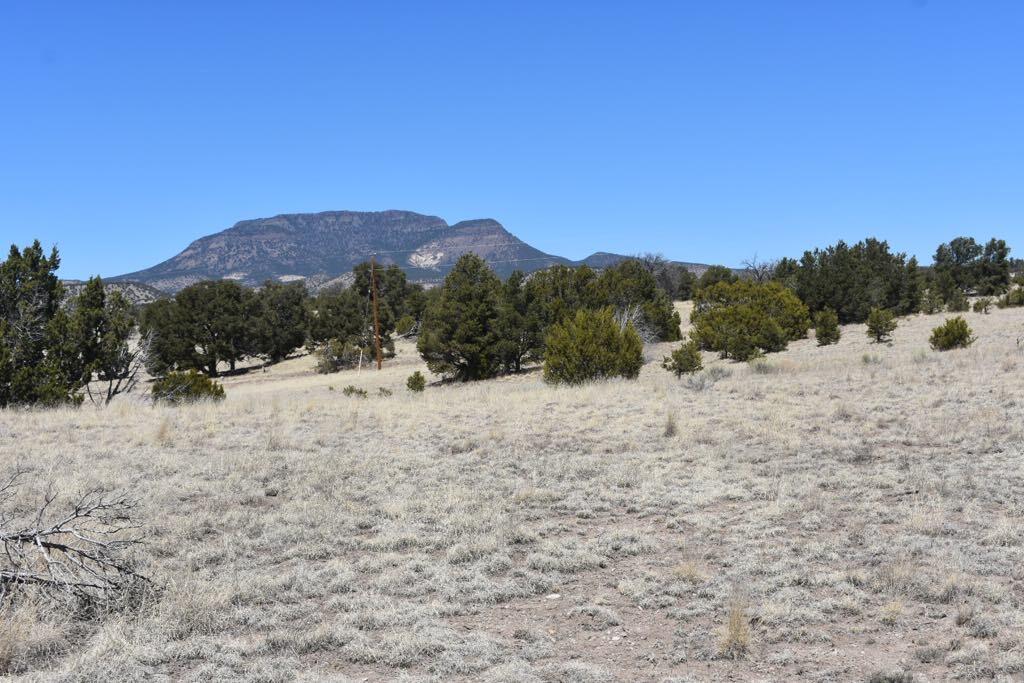 Lot 15 Old Thomas Place Iv
