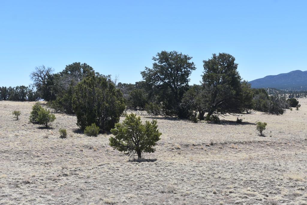 Lot 15 Old Thomas Place Iv
