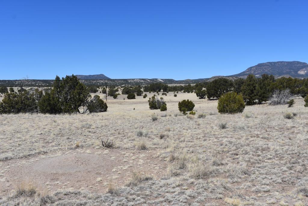 Lot 15 Old Thomas Place Iv