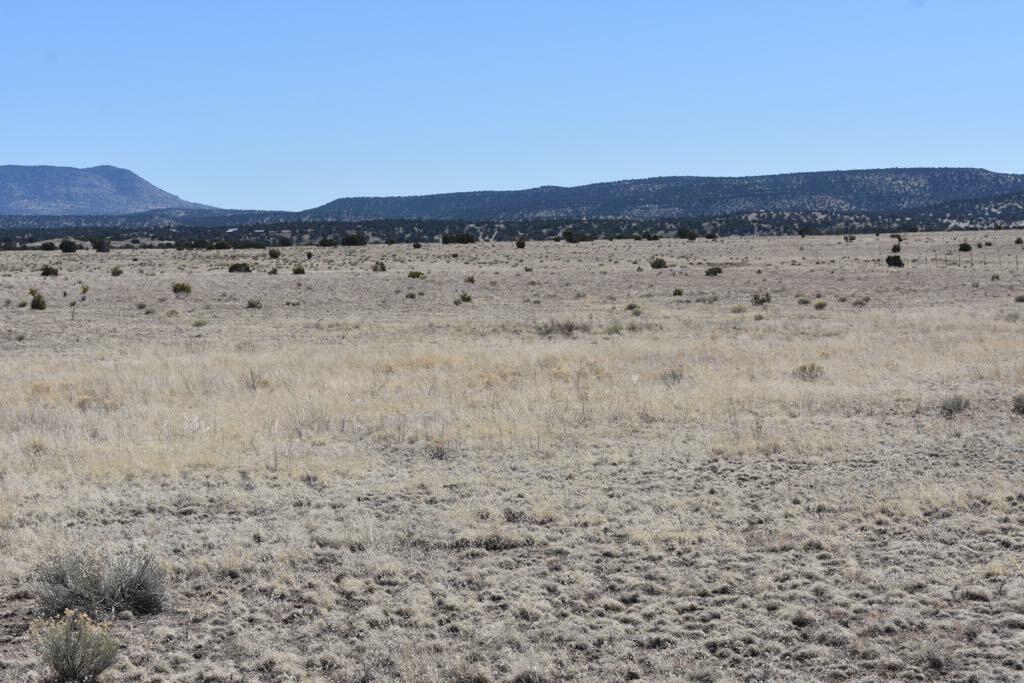 Lot 15 Old Thomas Place Iv