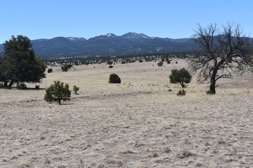 Lot 15 Old Thomas Place Iv