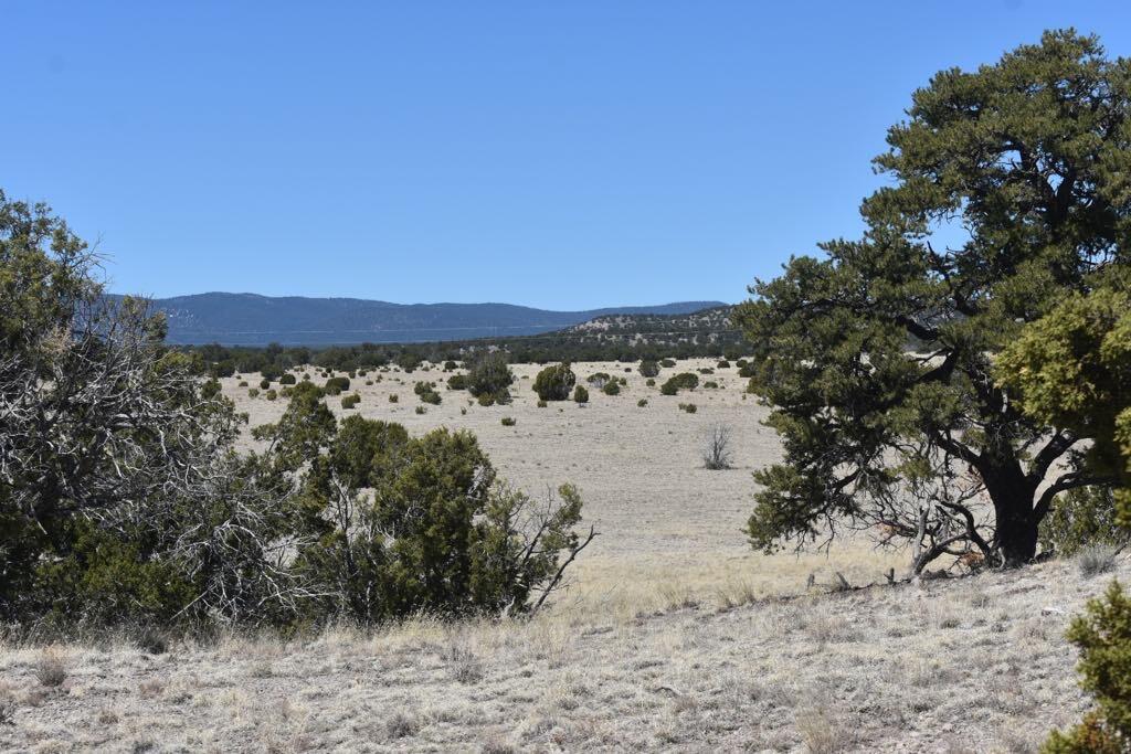 Lot 15 Old Thomas Place Iv