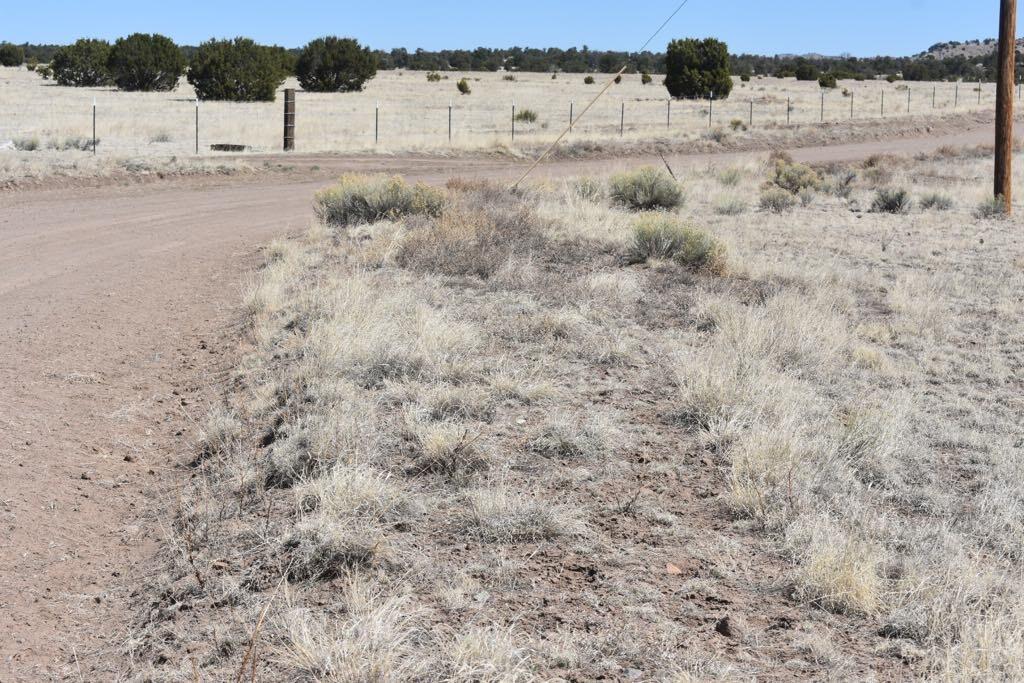 Lot 15 Old Thomas Place Iv