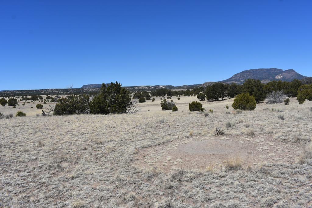 Lot 15 Old Thomas Place Iv
