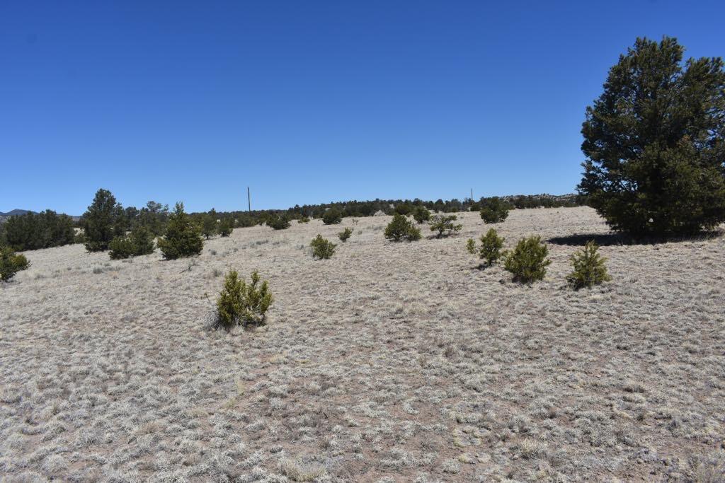Lot 15 Old Thomas Place Iv