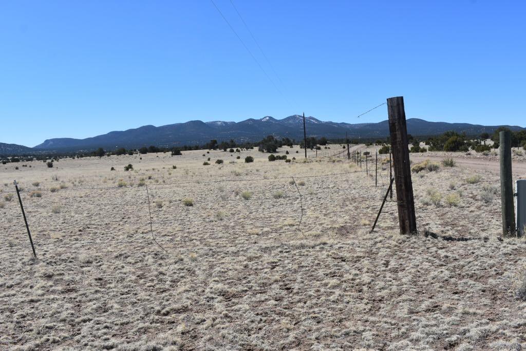 Lot 15 Old Thomas Place Iv