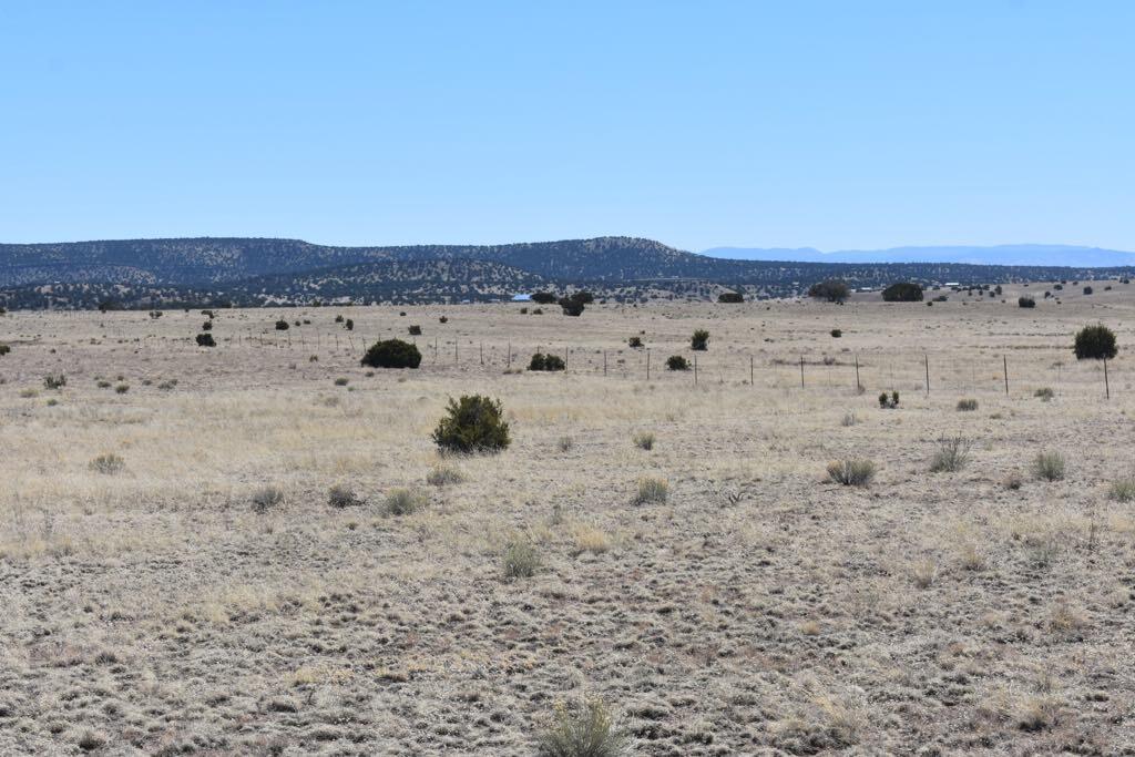 Lot 15 Old Thomas Place Iv