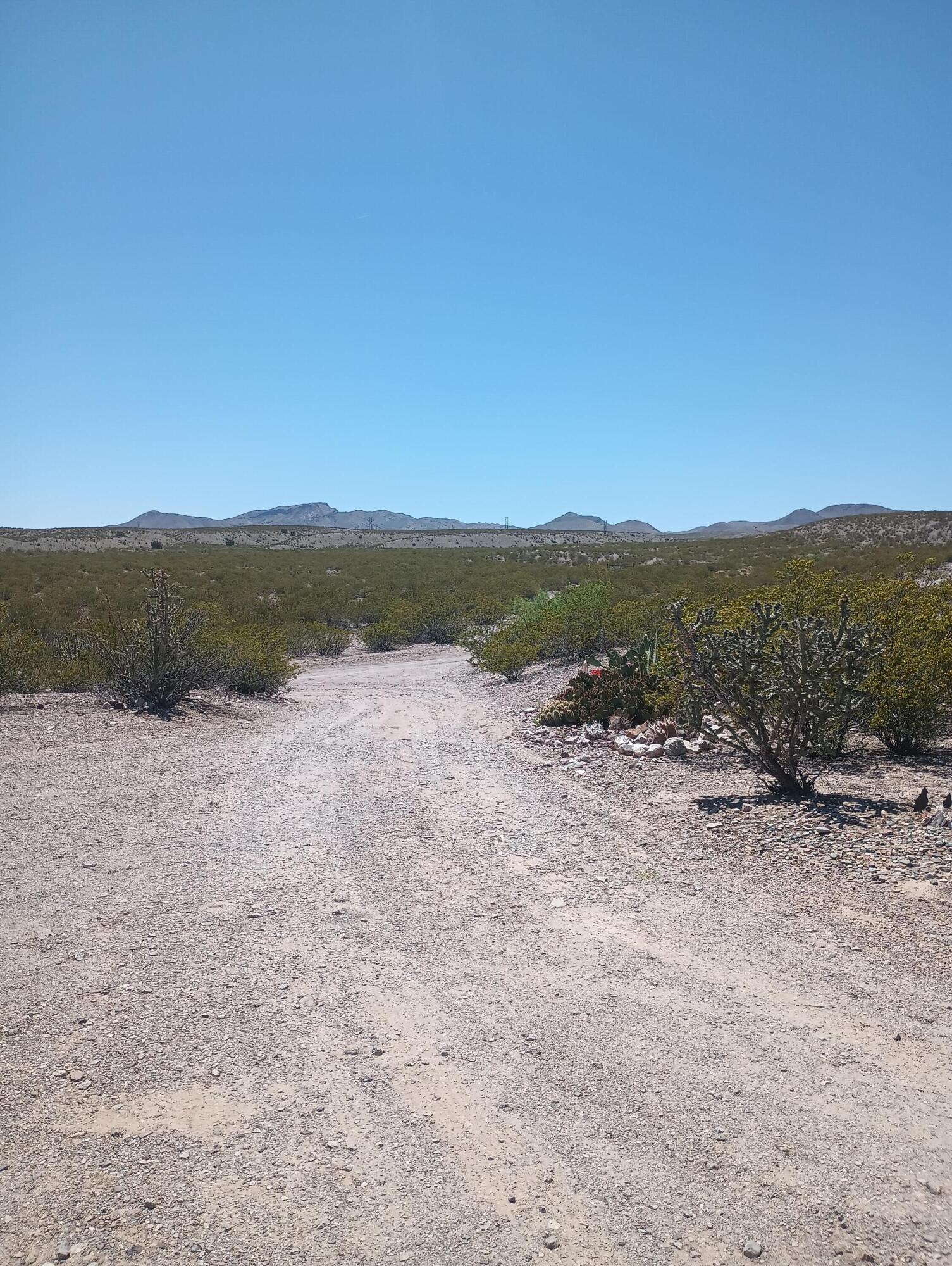 79 W San Antonito Road