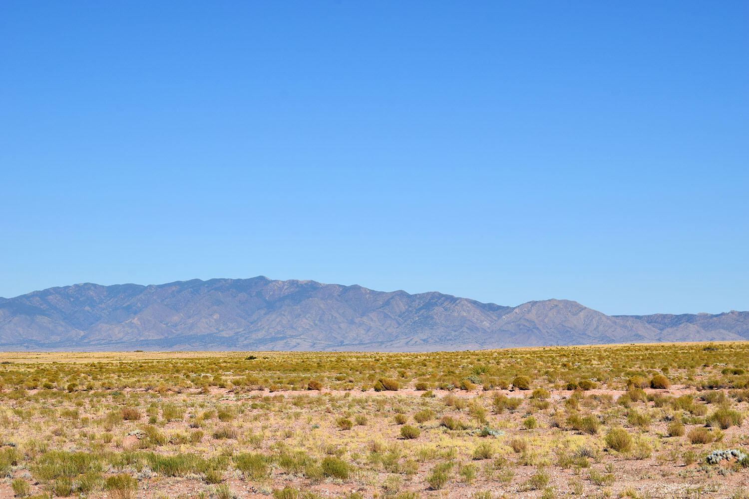 Lot 14 Trevino Avenue