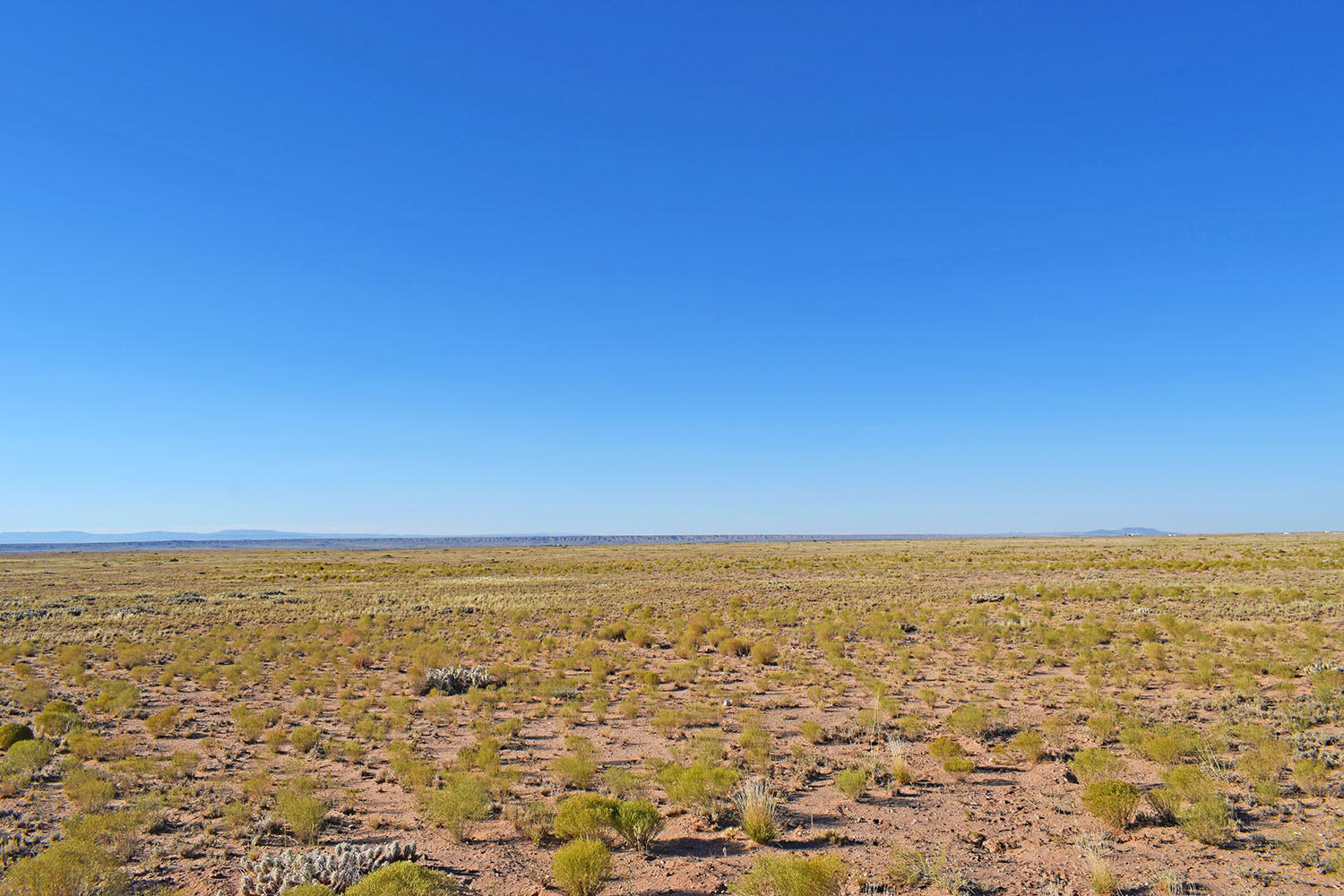 Lot 14 Trevino Avenue