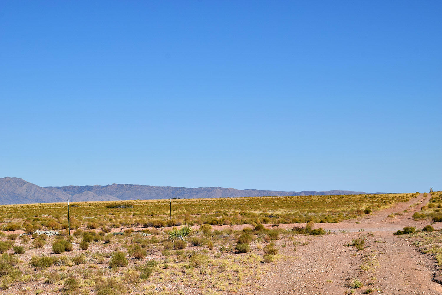 Lot 14 Trevino Avenue