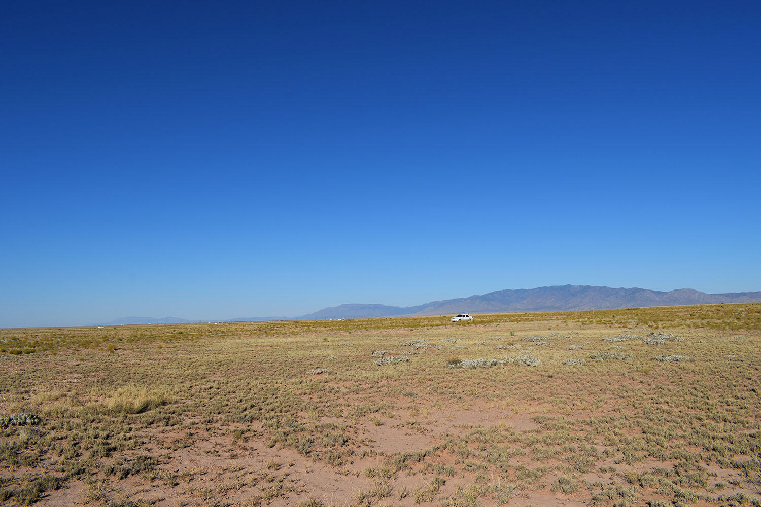 Lot 14 Trevino Avenue