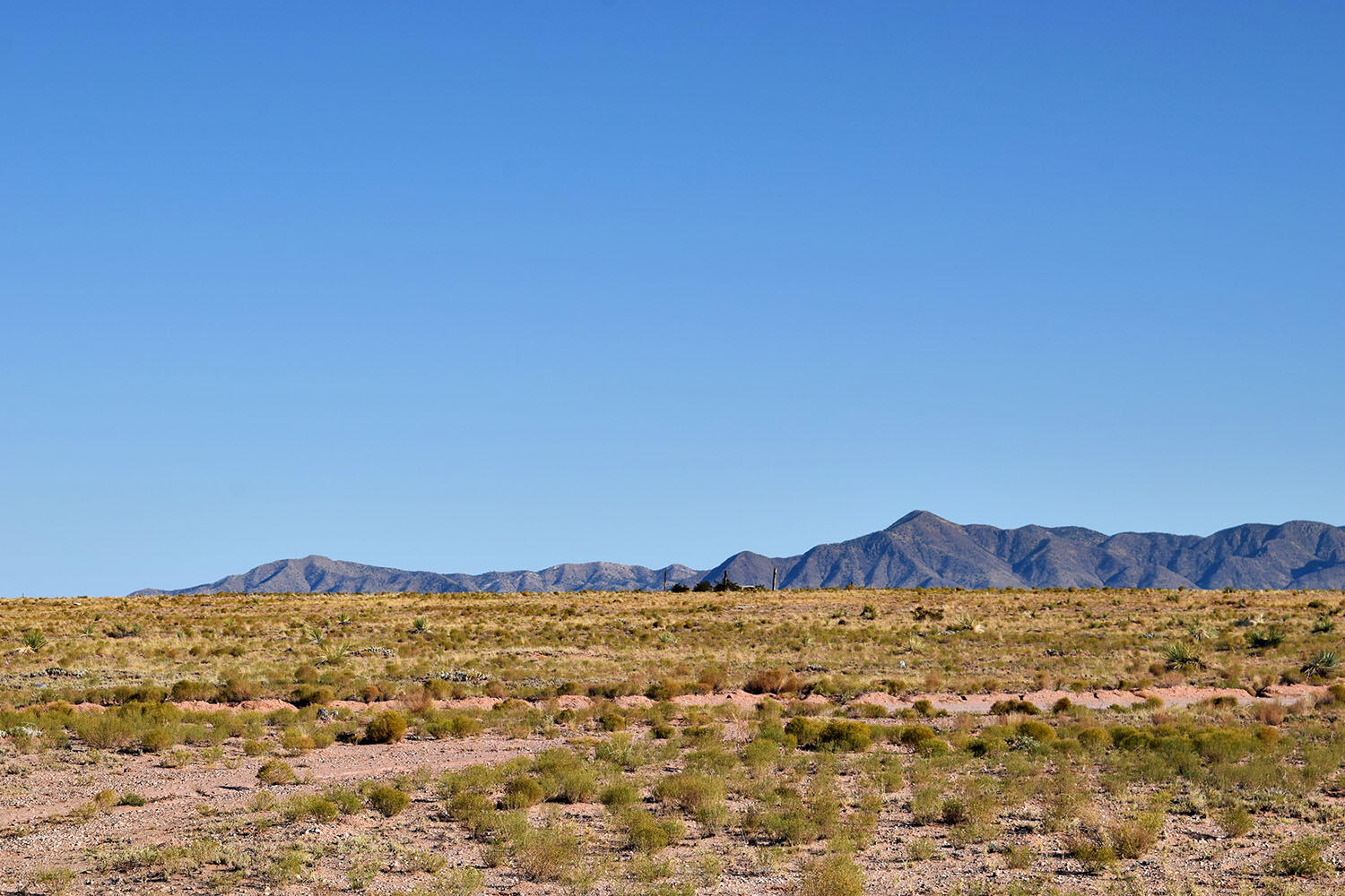 Lot 14 Trevino Avenue